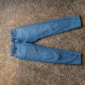 Everlane Light Blue High Rise Skinny Ankle Jeans